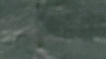 El presidente Trump desató las risas en la ONU.