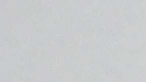 Shannon enamora famosos.