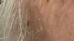 McCain se aseguró que Trump no asistiera a su funeral