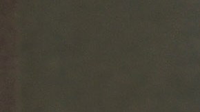 Hay una gran amistad entre las parejas, como lo muestra esta imagen de 2016.