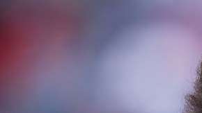 Colin Kaepernick, todo un símbolo y una piedra en el zapato.