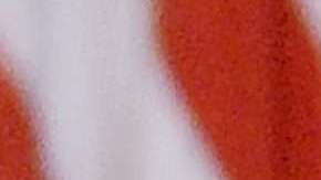 Portales de noticias falsas vuelven a arreciar contra las hijas de Obama