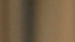 Ted Cruz podría perder su reelección al Senado