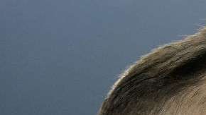 Mauro Emanuel Icardi encabeza la nueva armada argentina