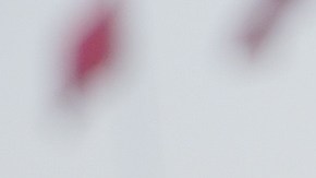 Richard Liu Qiangdong.