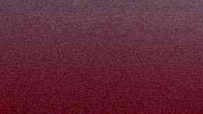 La primera hija Ivanka Trump.