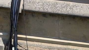 Meghan Markle y el príncipe Harry se casaron en mayo.