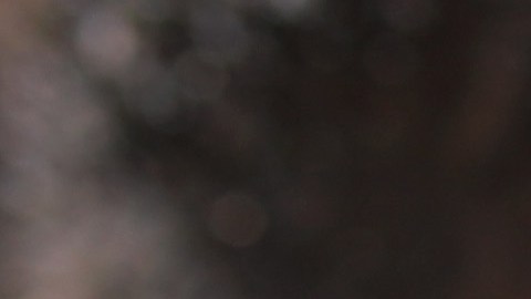 Los agentes fronterizos mantienen la política de "cero tolerancia", pero sin separar a los niños de sus padres.