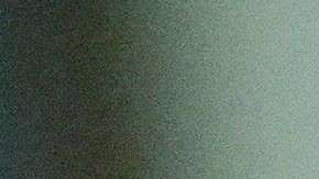 Solo el 38% de EE.UU apoya a Trump según nuevo sondeo