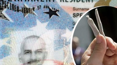 El consumo de marihuana durante procesos migratorios puede representar un problema.