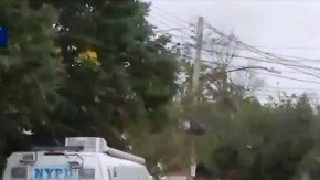 NYPD acordonó el área desde anoche
