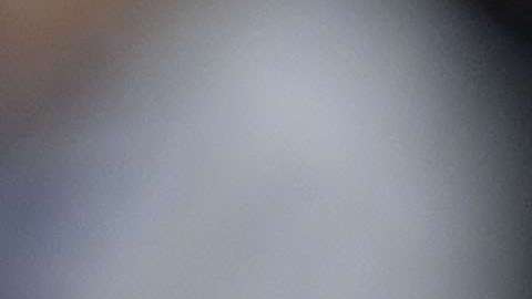 Ricardo Ferretti solo dirigirá un par de compromisos como técnico interino del Tri