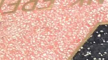 La estrella de Donald Trump en el Paseo de la Fama aparece tras rejas.