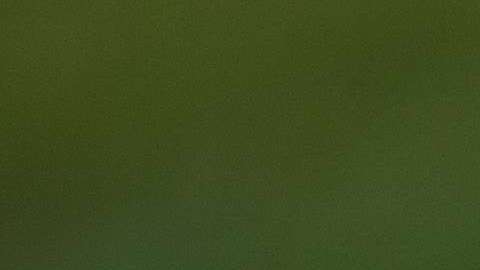 johnny-mcclung-515502-unsplash