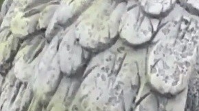 La tumba de Guzmán en New Saint Raymond's Cemetery