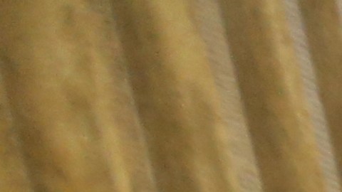 Candidatas Jessica Ramos, Jullia Salazar y Catalina Cruz.
Latinas al Poder.