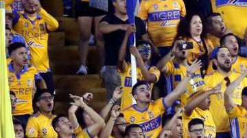 La barra "Libres y lokos" de Tigres estará controlada y habrá represalias en caso de ilícitos