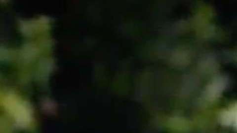 "La Diabla" en "Sin senos sí hay paraíso"