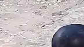 Las imágenes fueron grabadas en la provincia Java Oriental, Indonesia.