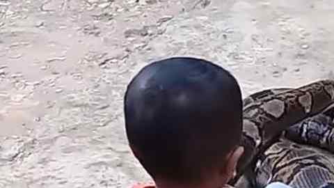 Las imágenes fueron grabadas en la provincia Java Oriental, Indonesia.
