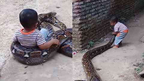 Las imágenes fueron grabadas en la provincia Java Oriental, Indonesia.