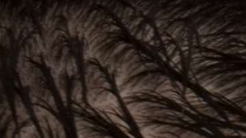 A diferencia de sus abuelos, los Millenials no están interesados en trabajar 40 años para la misma empresa.