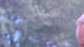 Benjamin Slade busca una mujer joven para tener un hijo.