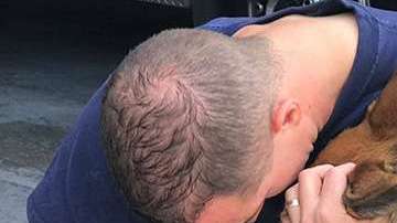 nguiu-firefighters-rescue-dog-2