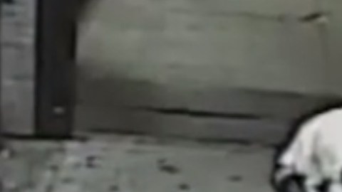 Jorge Ayala fue capturado por cámaras de vigilancia.