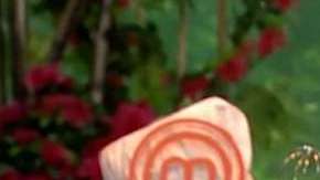 Pati Chapoy es la titular de "Ventaneando" de TV Azteca