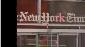 Se desnudó por Venezuela frente a The New York Times