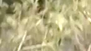 Rafael Amaya en "El Señor de los Cielos"