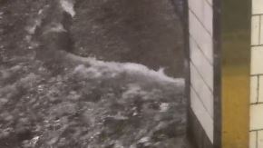 El video se realizó en la estación de la calle 23 del tren 6, en Manhattan.