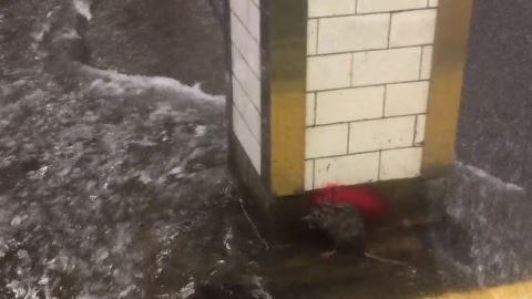 El video se realizó en la estación de la calle 23 del tren 6, en Manhattan.