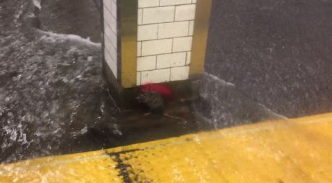 El video se realizó en la estación de la calle 23 del tren 6, en Manhattan.