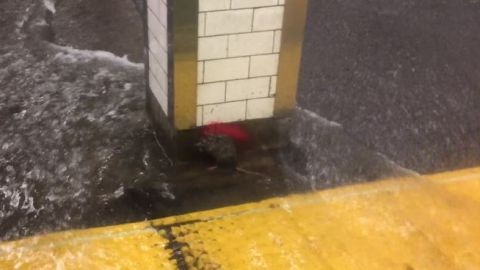 El video se realizó en la estación de la calle 23 del tren 6, en Manhattan.