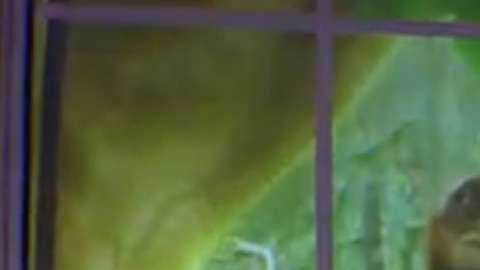 Screen Shot 2018-09-02 at 7.30.25 PM