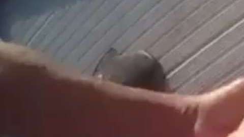 Un hombre es rescatado de ahogarse.