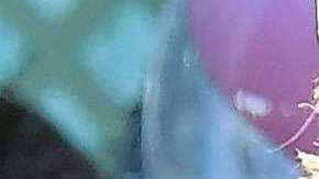 Shakira y su familia visitaron Disneyland.