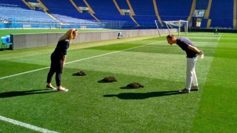 Las huellas del topo que hizo estragos en la cancha del Shaktar.