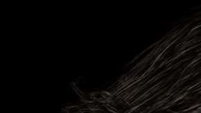 Uno de los grandes cambios de la cara está asociado al cerebro.