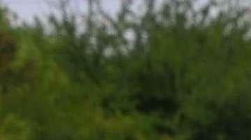 shutterstock_313125641