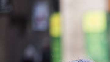 El cerebro y las hormonas marcan las diferencias.