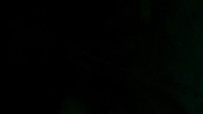 trasplante de organos