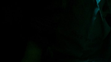 trasplante de organos