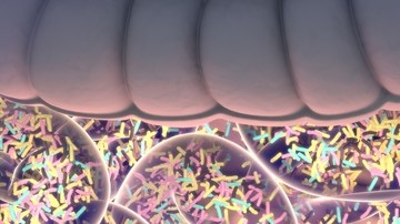 microbiota