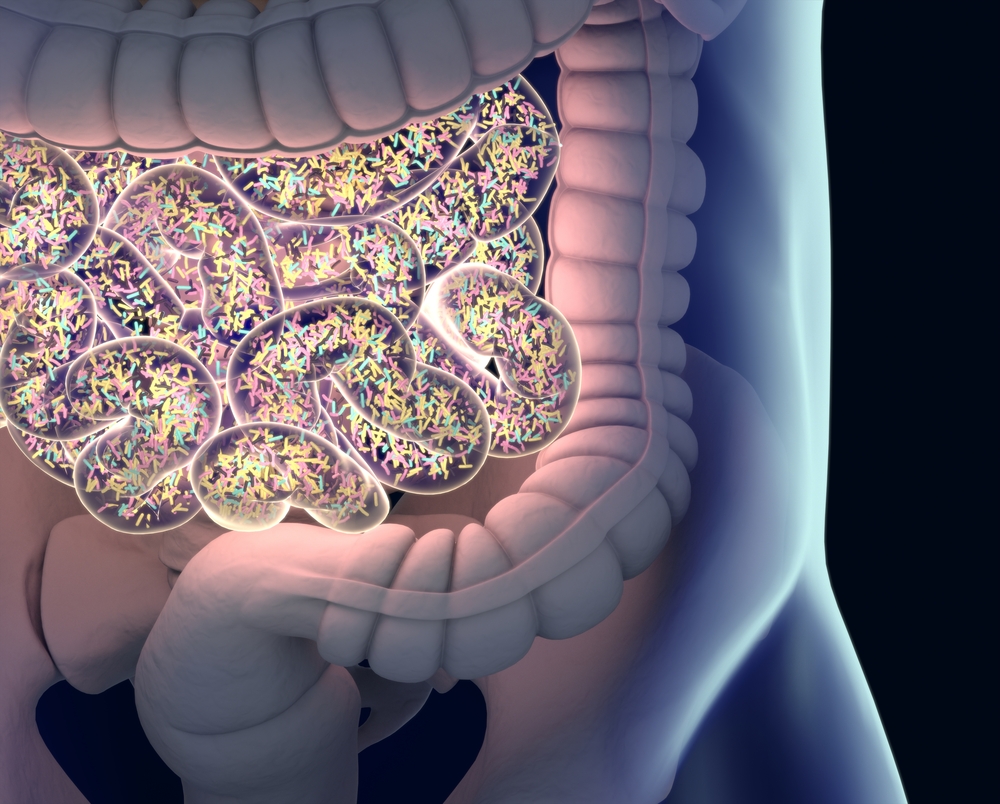 Las bacterias en el intestino no son tan malas como piensas.
