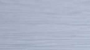 El reptil jaló a la mujer junto con su hijo a lo más profundo del lago.