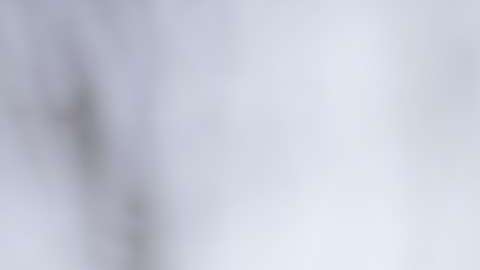 Tu teléfono, bien equipado, podría salvarte la vida durante un huracán.