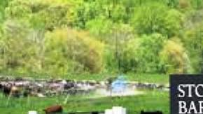 El animal huyó de esta finca que incluye un famoso restaurante